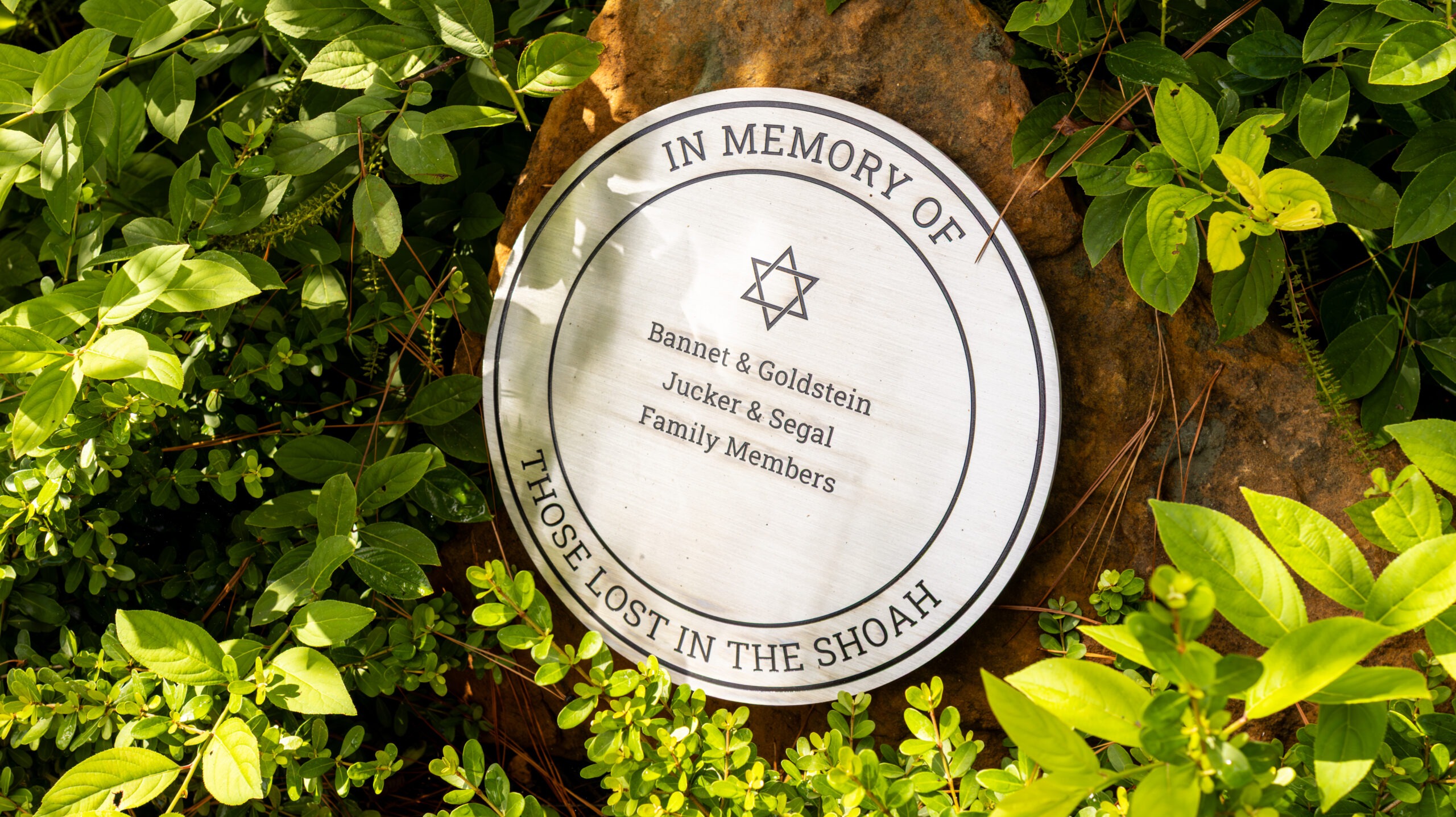 Holocaust Garden of Hope exhibit featured by ABC13 Houston